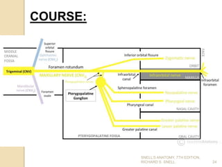 24
COURSE:
SNELL’S ANATOMY, 7TH EDITION,
RICHARD S. SNELL.
 