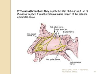 32
2.The nasal branches: They supply the skin of the nose & tip of
the nasal septum & join the External nasal branch of the anterior
ethmoidal nerve.
SNELL’S ANATOMY, 7TH EDITION,
RICHARD S. SNELL.
 