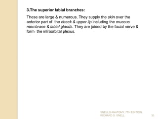 33
3.The superior labial branches:
These are large & numerous. They supply the skin over the
anterior part of the cheek & upper lip including the mucous
membrane & labial glands. They are joined by the facial nerve &
form the infraorbital plexus.
SNELL’S ANATOMY, 7TH EDITION,
RICHARD S. SNELL.
 