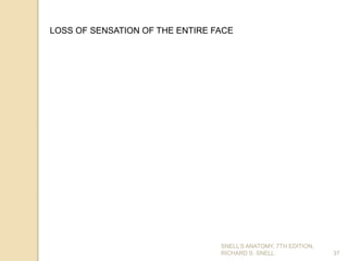 SNELL’S ANATOMY, 7TH EDITION,
RICHARD S. SNELL. 37
LOSS OF SENSATION OF THE ENTIRE FACE
 