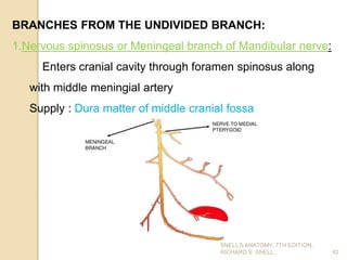 BRANCHES FROM THE UNDIVIDED BRANCH:
1.Nervous spinosus or Meningeal branch of Mandibular nerve:
Enters cranial cavity through foramen spinosus along
with middle meningial artery
Supply : Dura matter of middle cranial fossa
42
SNELL’S ANATOMY, 7TH EDITION,
RICHARD S. SNELL.
 