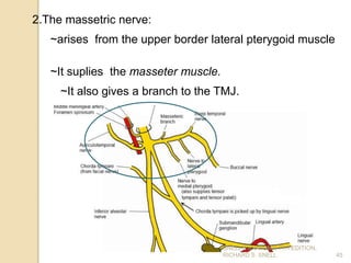 2.The massetric nerve:
~arises from the upper border lateral pterygoid muscle
~It suplies the masseter muscle.
~It also gives a branch to the TMJ.
45
SNELL’S ANATOMY, 7TH EDITION,
RICHARD S. SNELL.
 