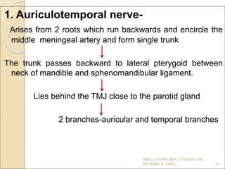 1. Auriculotemporal nerve-
Arises from 2 roots which run backwards and encircle the
middle meningeal artery and form single trunk
The trunk passes backward to lateral pterygoid between
neck of mandible and sphenomandibular ligament.
Lies behind the TMJ close to the parotid gland
2 branches-auricular and temporal branches
47
SNELL’S ANATOMY, 7TH EDITION,
RICHARD S. SNELL.
 