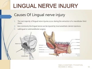 LINGUAL NERVE INJURY
56
SNELL’S ANATOMY, 7TH EDITION,
RICHARD S. SNELL.
 