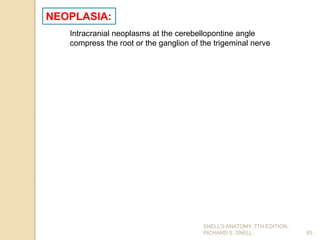 SNELL’S ANATOMY, 7TH EDITION,
RICHARD S. SNELL. 65
NEOPLASIA:
Intracranial neoplasms at the cerebellopontine angle
compress the root or the ganglion of the trigeminal nerve
 
