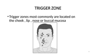 Trigger Zone Trigeminal Nerve and its applied anatomy in dentistry | PPTX