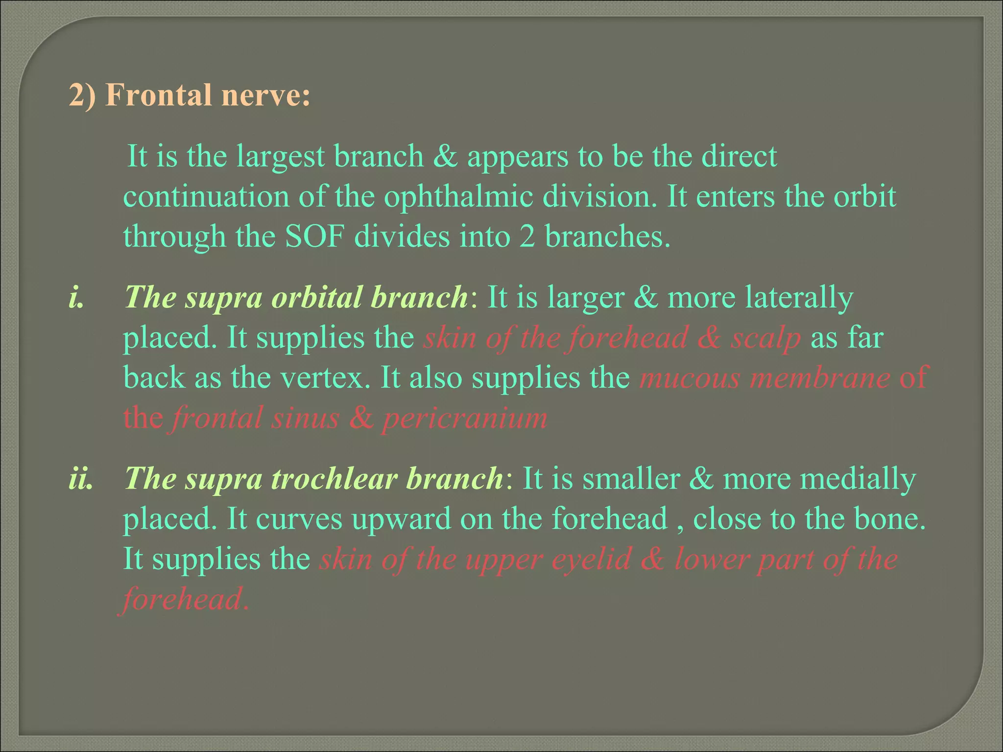 2) Frontal nerve:
It is the largest branch & appears to be the direct
continuation of the ophthalmic division. It enters the orbit
through the SOF divides into 2 branches.
i. The supra orbital branch: It is larger & more laterally
placed. It supplies the skin of the forehead & scalp as far
back as the vertex. It also supplies the mucous membrane of
the frontal sinus & pericranium
ii. The supra trochlear branch: It is smaller & more medially
placed. It curves upward on the forehead , close to the bone.
It supplies the skin of the upper eyelid & lower part of the
forehead.
 