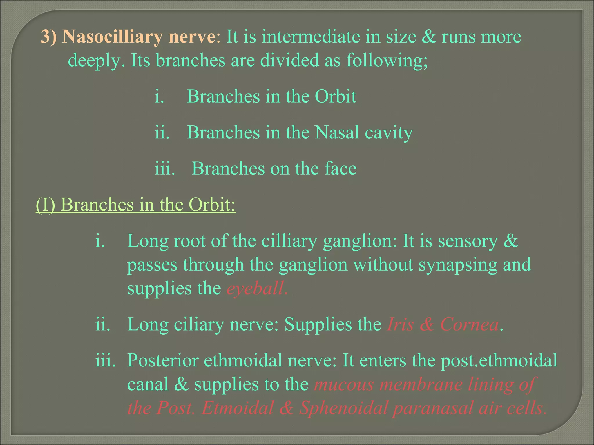 3) Nasocilliary nerve: It is intermediate in size & runs more
deeply. Its branches are divided as following;
i. Branches in the Orbit
ii. Branches in the Nasal cavity
iii. Branches on the face
(I) Branches in the Orbit:
i. Long root of the cilliary ganglion: It is sensory &
passes through the ganglion without synapsing and
supplies the eyeball.
ii. Long ciliary nerve: Supplies the Iris & Cornea.
iii. Posterior ethmoidal nerve: It enters the post.ethmoidal
canal & supplies to the mucous membrane lining of
the Post. Etmoidal & Sphenoidal paranasal air cells.
 