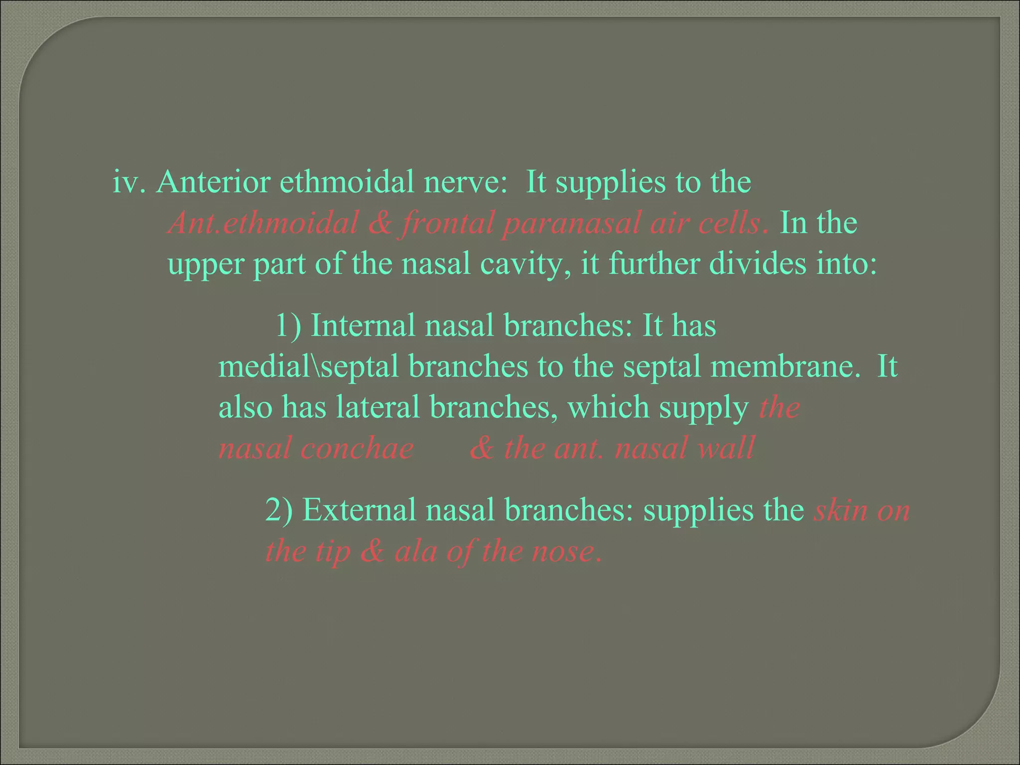 iv. Anterior ethmoidal nerve: It supplies to the
Ant.ethmoidal & frontal paranasal air cells. In the
upper part of the nasal cavity, it further divides into:
1) Internal nasal branches: It has
medialseptal branches to the septal membrane. It
also has lateral branches, which supply the
nasal conchae & the ant. nasal wall
2) External nasal branches: supplies the skin on
the tip & ala of the nose.
 