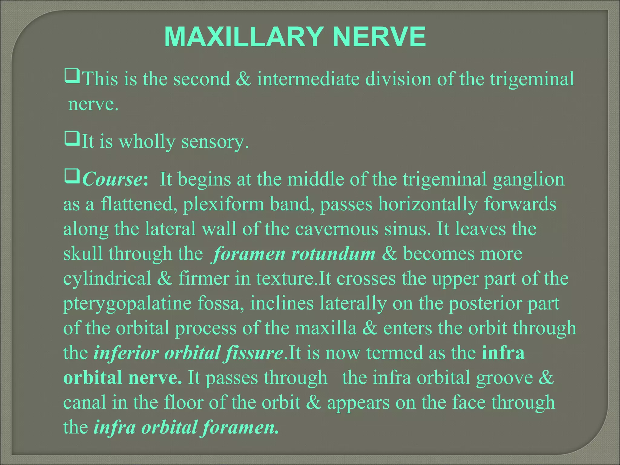 MAXILLARY NERVE
This is the second & intermediate division of the trigeminal
nerve.
It is wholly sensory.
Course: It begins at the middle of the trigeminal ganglion
as a flattened, plexiform band, passes horizontally forwards
along the lateral wall of the cavernous sinus. It leaves the
skull through the foramen rotundum & becomes more
cylindrical & firmer in texture.It crosses the upper part of the
pterygopalatine fossa, inclines laterally on the posterior part
of the orbital process of the maxilla & enters the orbit through
the inferior orbital fissure.It is now termed as the infra
orbital nerve. It passes through the infra orbital groove &
canal in the floor of the orbit & appears on the face through
the infra orbital foramen.
 