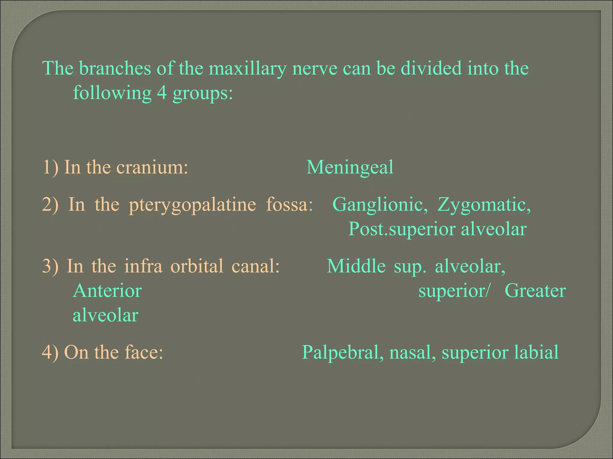 The branches of the maxillary nerve can be divided into the
following 4 groups:
1) In the cranium: Meningeal
2) In the pterygopalatine fossa: Ganglionic, Zygomatic,
Post.superior alveolar
3) In the infra orbital canal: Middle sup. alveolar,
Anterior superior/ Greater
alveolar
4) On the face: Palpebral, nasal, superior labial
 