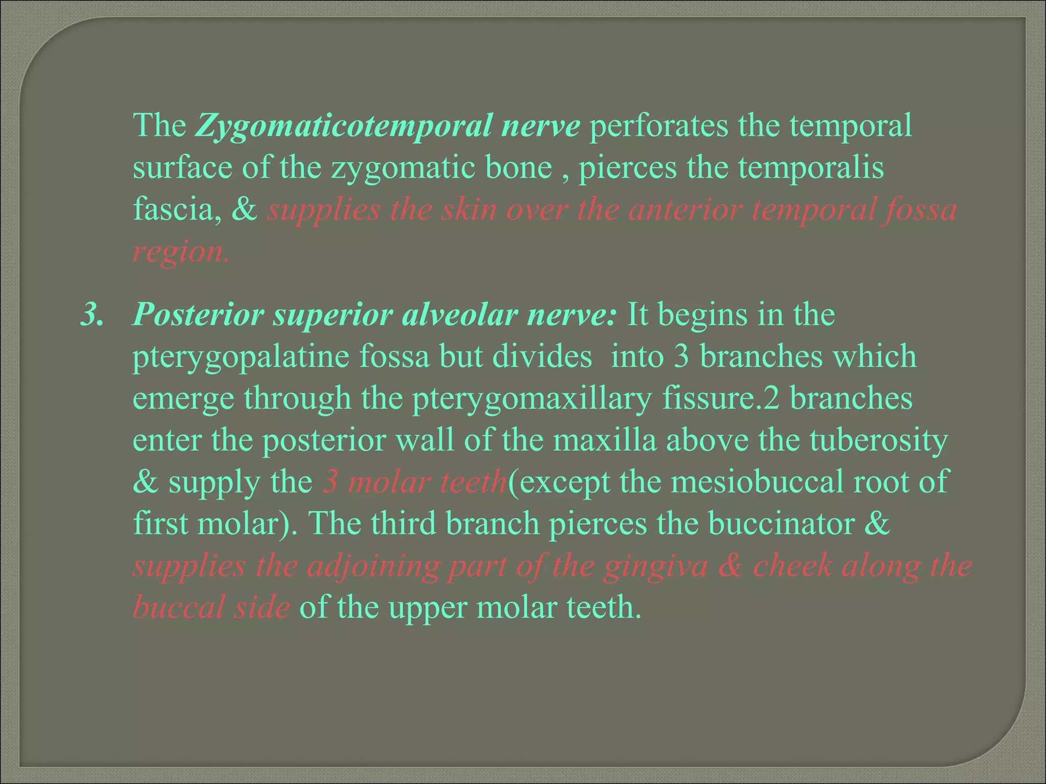 The Zygomaticotemporal nerve perforates the temporal
surface of the zygomatic bone , pierces the temporalis
fascia, & supplies the skin over the anterior temporal fossa
region.
3. Posterior superior alveolar nerve: It begins in the
pterygopalatine fossa but divides into 3 branches which
emerge through the pterygomaxillary fissure.2 branches
enter the posterior wall of the maxilla above the tuberosity
& supply the 3 molar teeth(except the mesiobuccal root of
first molar). The third branch pierces the buccinator &
supplies the adjoining part of the gingiva & cheek along the
buccal side of the upper molar teeth.
 