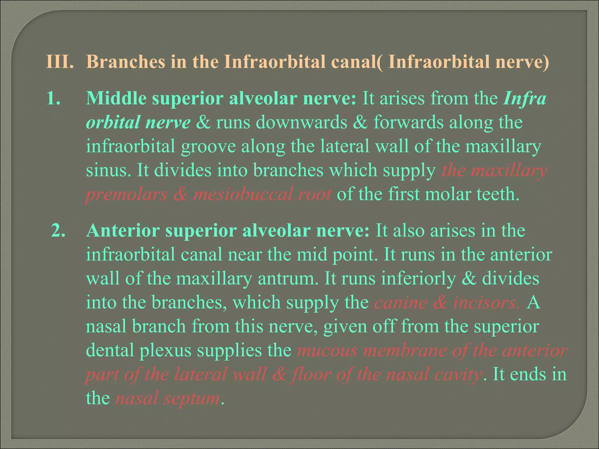 III. Branches in the Infraorbital canal( Infraorbital nerve)
1. Middle superior alveolar nerve: It arises from the Infra
orbital nerve & runs downwards & forwards along the
infraorbital groove along the lateral wall of the maxillary
sinus. It divides into branches which supply the maxillary
premolars & mesiobuccal root of the first molar teeth.
2. Anterior superior alveolar nerve: It also arises in the
infraorbital canal near the mid point. It runs in the anterior
wall of the maxillary antrum. It runs inferiorly & divides
into the branches, which supply the canine & incisors. A
nasal branch from this nerve, given off from the superior
dental plexus supplies the mucous membrane of the anterior
part of the lateral wall & floor of the nasal cavity. It ends in
the nasal septum.
 