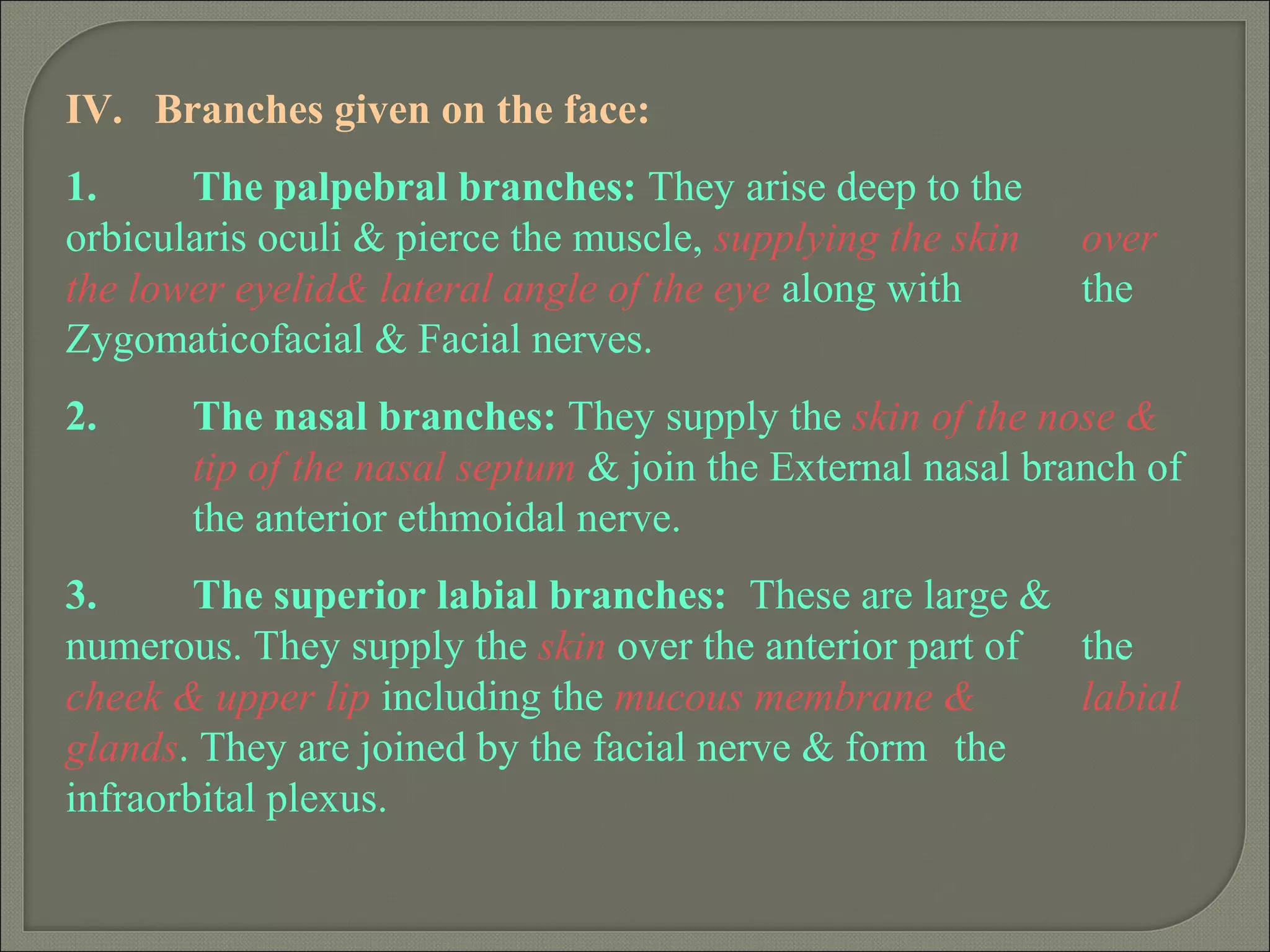 IV. Branches given on the face:
1. The palpebral branches: They arise deep to the
orbicularis oculi & pierce the muscle, supplying the skin over
the lower eyelid& lateral angle of the eye along with the
Zygomaticofacial & Facial nerves.
2. The nasal branches: They supply the skin of the nose &
tip of the nasal septum & join the External nasal branch of
the anterior ethmoidal nerve.
3. The superior labial branches: These are large &
numerous. They supply the skin over the anterior part of the
cheek & upper lip including the mucous membrane & labial
glands. They are joined by the facial nerve & form the
infraorbital plexus.
 