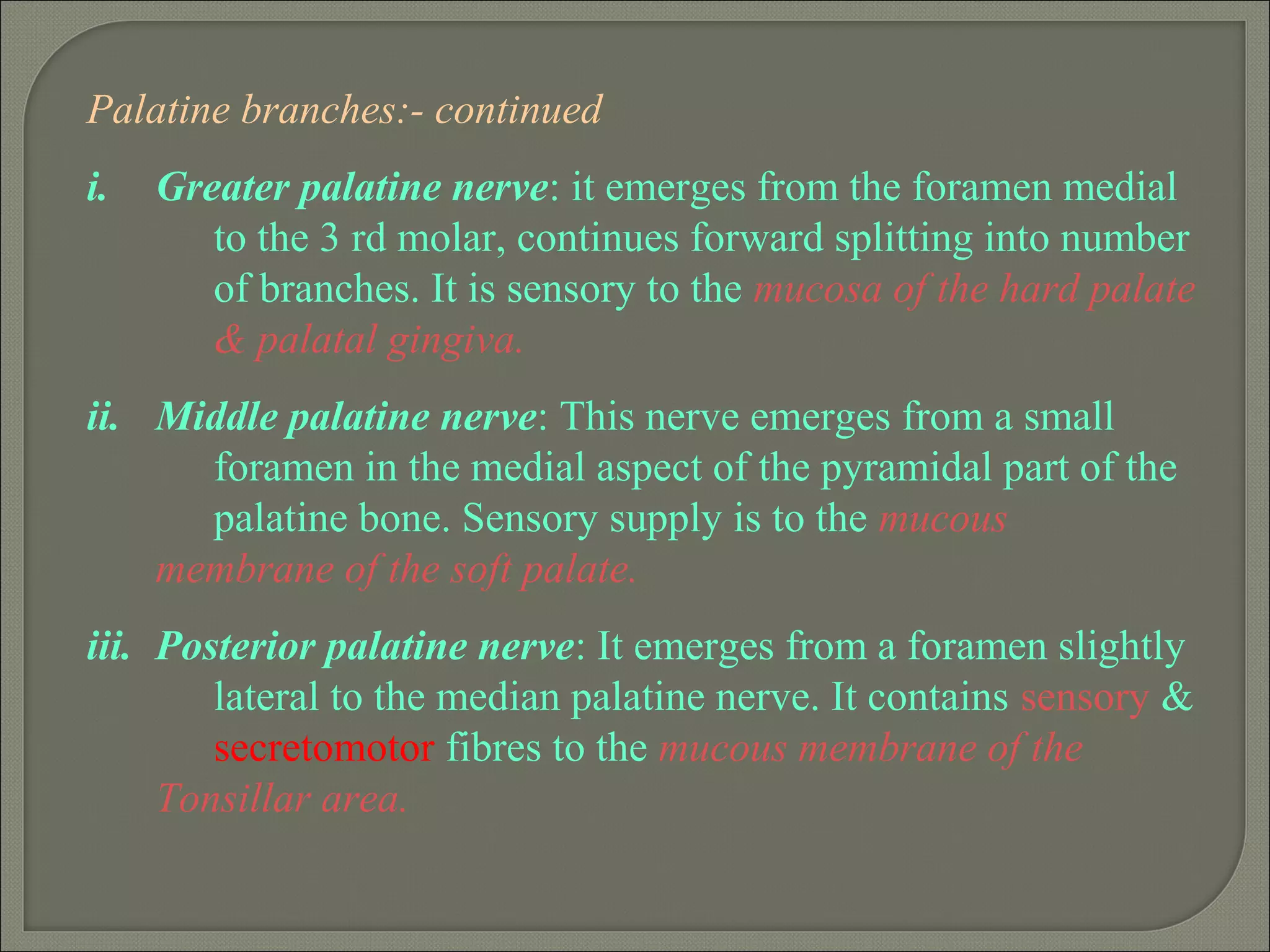 Palatine branches:- continued
i. Greater palatine nerve: it emerges from the foramen medial
to the 3 rd molar, continues forward splitting into number
of branches. It is sensory to the mucosa of the hard palate
& palatal gingiva.
ii. Middle palatine nerve: This nerve emerges from a small
foramen in the medial aspect of the pyramidal part of the
palatine bone. Sensory supply is to the mucous
membrane of the soft palate.
iii. Posterior palatine nerve: It emerges from a foramen slightly
lateral to the median palatine nerve. It contains sensory &
secretomotor fibres to the mucous membrane of the
Tonsillar area.
 