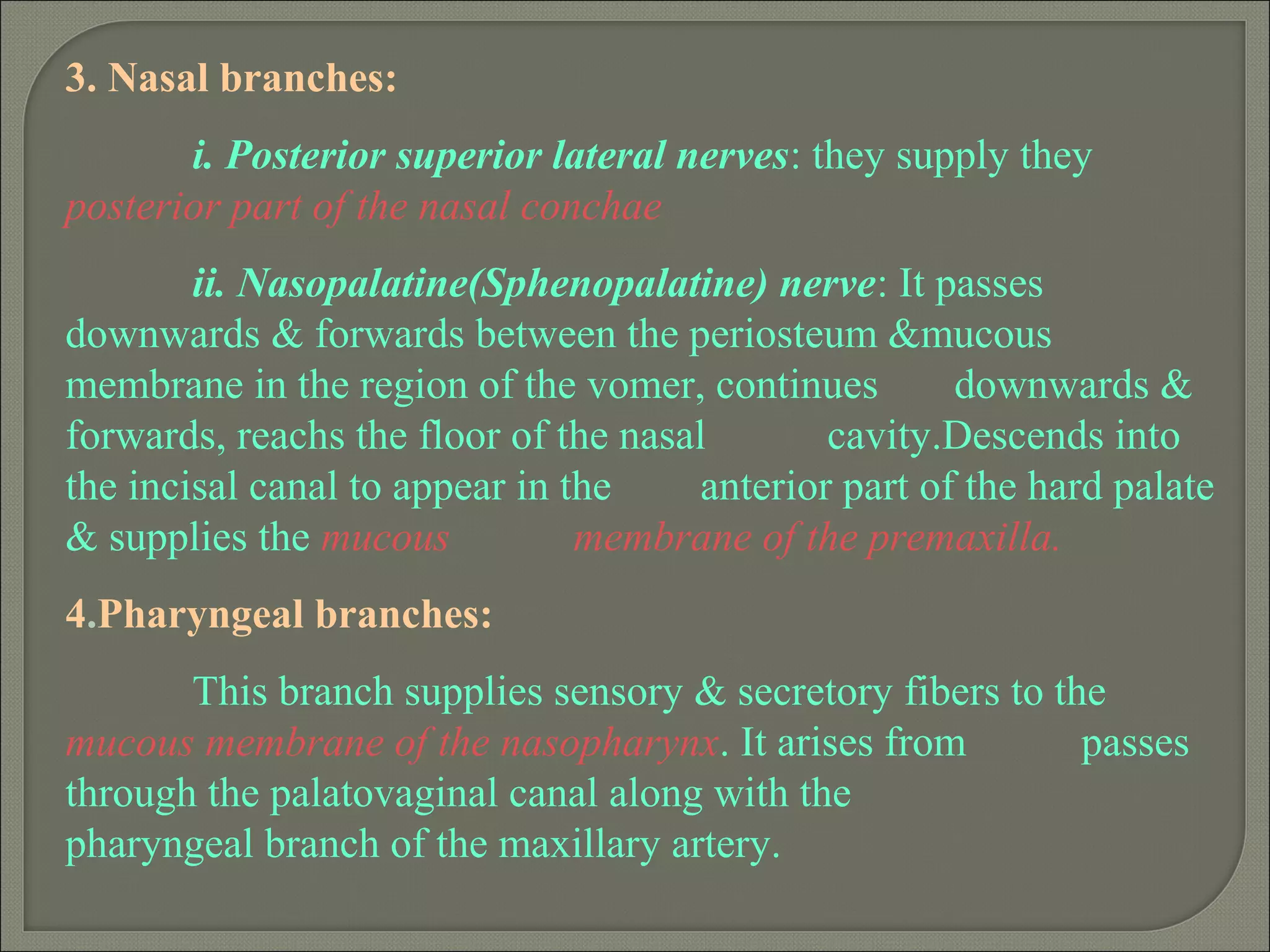 3. Nasal branches:
i. Posterior superior lateral nerves: they supply they
posterior part of the nasal conchae
ii. Nasopalatine(Sphenopalatine) nerve: It passes
downwards & forwards between the periosteum &mucous
membrane in the region of the vomer, continues downwards &
forwards, reachs the floor of the nasal cavity.Descends into
the incisal canal to appear in the anterior part of the hard palate
& supplies the mucous membrane of the premaxilla.
4.Pharyngeal branches:
This branch supplies sensory & secretory fibers to the
mucous membrane of the nasopharynx. It arises from passes
through the palatovaginal canal along with the
pharyngeal branch of the maxillary artery.
 