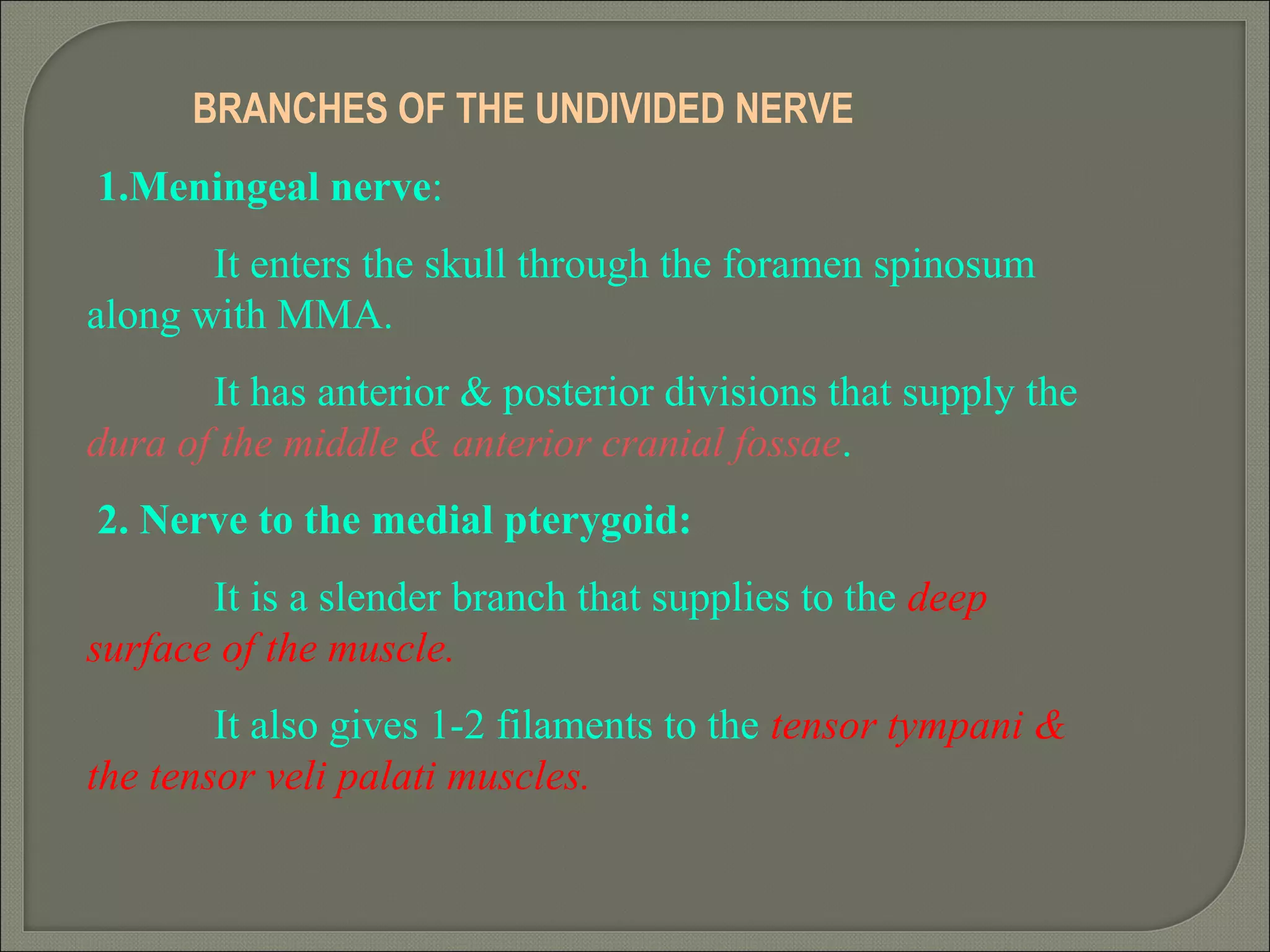 BRANCHES OF THE UNDIVIDED NERVE
1.Meningeal nerve:
It enters the skull through the foramen spinosum
along with MMA.
It has anterior & posterior divisions that supply the
dura of the middle & anterior cranial fossae.
2. Nerve to the medial pterygoid:
It is a slender branch that supplies to the deep
surface of the muscle.
It also gives 1-2 filaments to the tensor tympani &
the tensor veli palati muscles.
 
