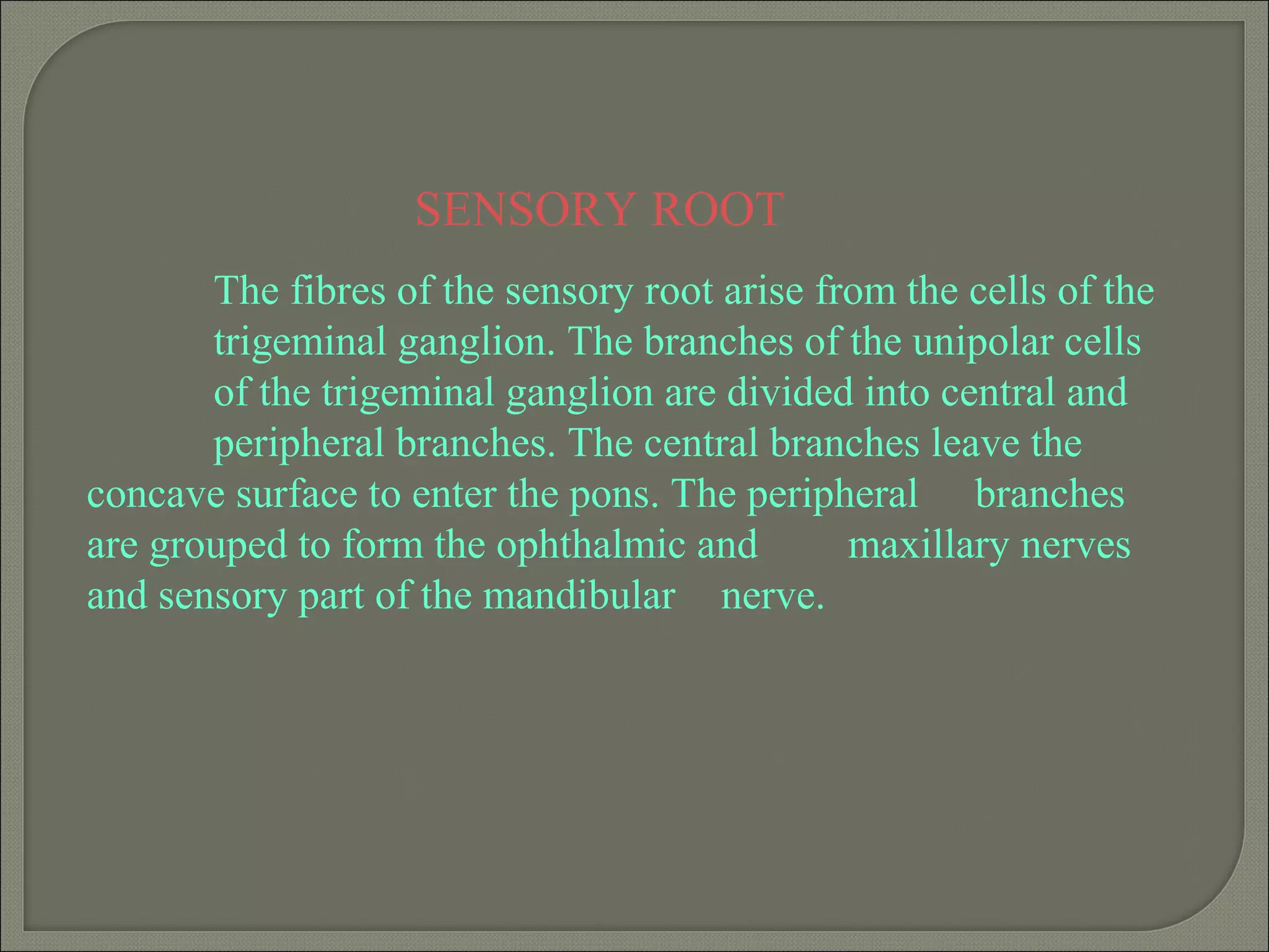 SENSORY ROOT
The fibres of the sensory root arise from the cells of the
trigeminal ganglion. The branches of the unipolar cells
of the trigeminal ganglion are divided into central and
peripheral branches. The central branches leave the
concave surface to enter the pons. The peripheral branches
are grouped to form the ophthalmic and maxillary nerves
and sensory part of the mandibular nerve.
 