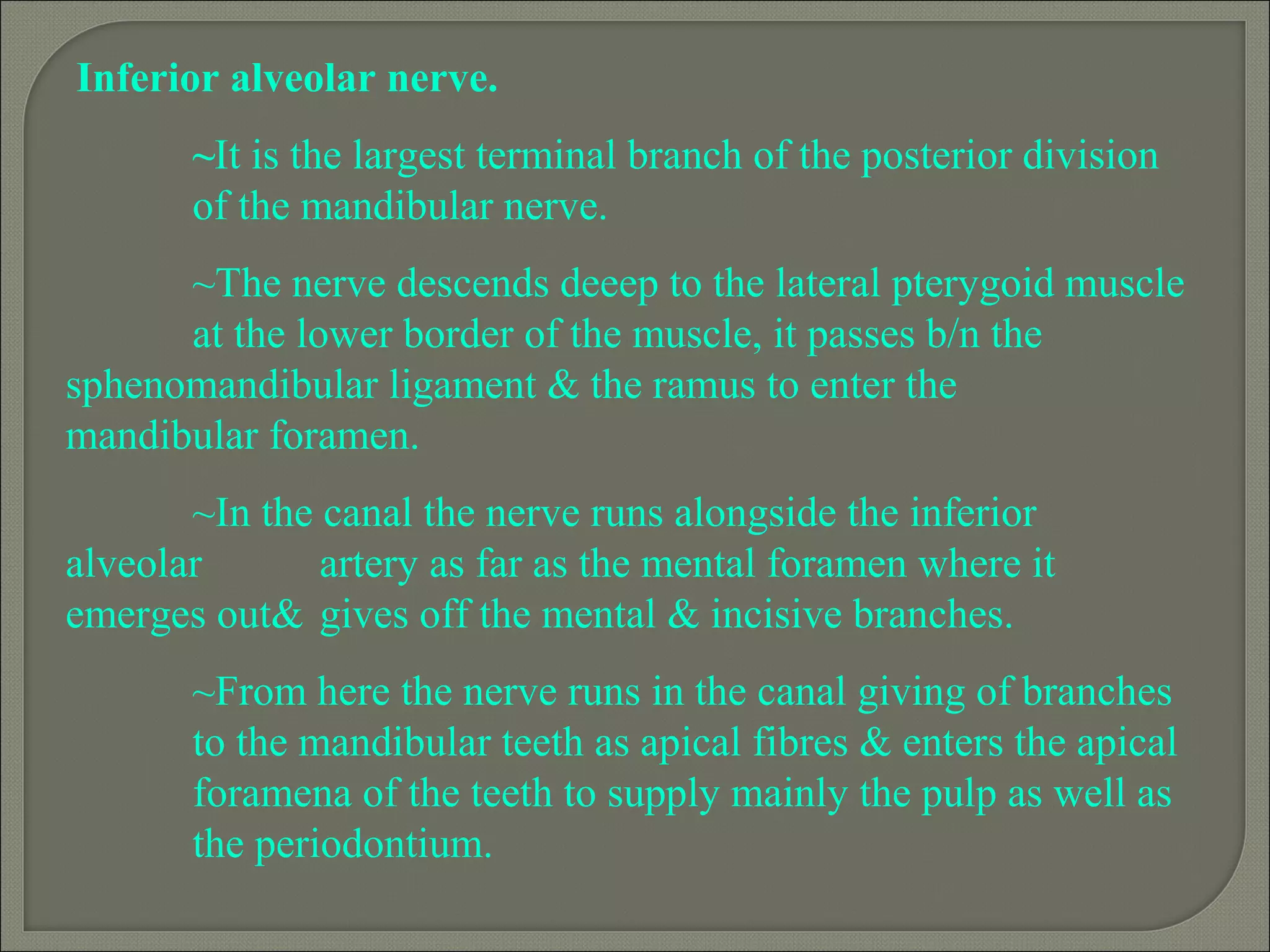Inferior alveolar nerve.
~It is the largest terminal branch of the posterior division
of the mandibular nerve.
~The nerve descends deeep to the lateral pterygoid muscle
at the lower border of the muscle, it passes b/n the
sphenomandibular ligament & the ramus to enter the
mandibular foramen.
~In the canal the nerve runs alongside the inferior
alveolar artery as far as the mental foramen where it
emerges out& gives off the mental & incisive branches.
~From here the nerve runs in the canal giving of branches
to the mandibular teeth as apical fibres & enters the apical
foramena of the teeth to supply mainly the pulp as well as
the periodontium.
 