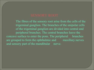 Sensorial Roots Trigeminal nerve and its applied anatomy | PPT