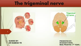 The trigeminal nerve
1
GUIDED BY:
DR RAMESH TR
PRESENTED BY:
DR BHAKTI PATEL
MDS( PROSTHO -1ST YEAR )
 
