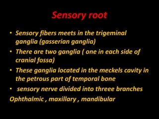 Sensory root
• Sensory fibers meets in the trigeminal
ganglia (gasserian ganglia)
• There are two ganglia ( one in each side of
cranial fossa)
• These ganglia located in the meckels cavity in
the petrous part of temporal bone
• sensory nerve divided into threee branches
Ophthalmic , maxillary , mandibular
 