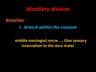 Maxillary division
Branches :
I . Branch within the cranium
middle meningeal nerve …. Give sensory
innervation to the dura mater
 