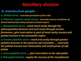 III. branches from ganglia :
a. Orbital nerve : innervate periostium of the orbit
b. Posterior superior nasal nerves : innervate mucous membrane of
lateral wall of nasal cavity and part of nasal septum
c. Nasopalatine nerve : reach nasal cavity through the
sphenopalatine foramen and oral cavity through incisive
formamen ,,give innervation to part of nasal cavity mucosa and
palatal mucosa in the premaxilla region.
d. Greater palatine nerve : reach oral cavity through greater
palatine foramen in the posterior part of palate …. Innervate
the palatal mucosa over hard palate and small porion of soft
palate
e. lesser palatine nerve … give innervation to the soft palate
f. Pharyngeal branch : supply the mucosa of the nasopharynx
Maxillary division
 