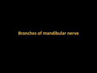 Branches of mandibular nerve
 