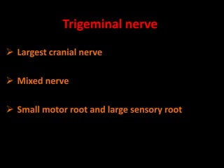 Trigeminal nerve
 Largest cranial nerve
 Mixed nerve
 Small motor root and large sensory root
 
