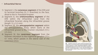 trigeminal nerve (CN 5) surgical anatomy.pptx