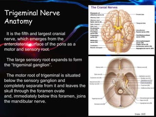 Trigeminal Nerve
Anatomy
It is the fifth and largest cranial
nerve, which emerges from the
anterolateral surface of the pons as a
motor and sensory root.
The large sensory root expands to form
the “trigeminal ganglion”.
The motor root of trigeminal is situated
below the sensory ganglion and
completely separate from it and leaves the
skull through the foramen ovale
and, immediately below this foramen, joins
the mandibular nerve.
 