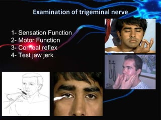 1- Sensation Function
2- Motor Function
3- Corneal reflex
4- Test jaw jerk
 
