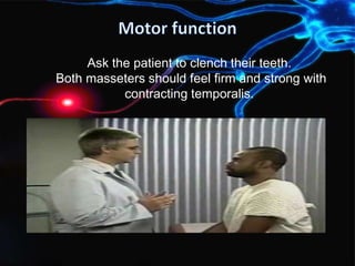 Ask the patient to clench their teeth.
Both masseters should feel firm and strong with
contracting temporalis.
 