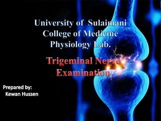 Trigeminal nerve examination