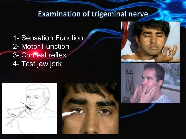 Trigeminal nerve examination