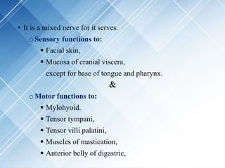 • It is a mixed nerve for it serves.
oSensory functions to:
 Facial skin,
 Mucosa of cranial viscera,
except for base of tongue and pharynx.
oMotor functions to:
 Mylohyoid.
 Tensor tympani,
 Tensor villi palatini,
 Muscles of mastication,
 Anterior belly of digastric,
&
 