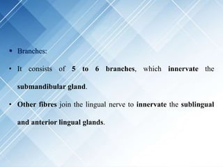  Branches:
• It consists of 5 to 6 branches, which innervate the
submandibular gland.
• Other fibres join the lingual nerve to innervate the sublingual
and anterior lingual glands.
 