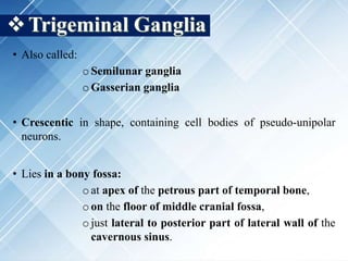 Trigeminal Ganglia
• Also called:
oSemilunar ganglia
oGasserian ganglia
• Crescentic in shape, containing cell bodies of pseudo-unipolar
neurons.
• Lies in a bony fossa:
oat apex of the petrous part of temporal bone,
oon the floor of middle cranial fossa,
ojust lateral to posterior part of lateral wall of the
cavernous sinus.
 