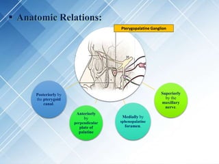  Anatomic Relations:
Superiorly
by the
maxillary
nerve.
Anteriorly
by
perpendicular
plate of
palatine
Medially by
sphenopalatine
foramen.
Posteriorly by
the pterygoid
canal.
Pterygopalatine Ganglion
 