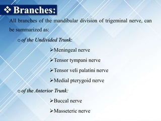 Branches:
All branches of the mandibular division of trigeminal nerve, can
be summarized as:
oof the Undivided Trunk:
Meningeal nerve
Tensor tympani nerve
Tensor veli palatini nerve
Medial pterygoid nerve
oof the Anterior Trunk:
Buccal nerve
Masseteric nerve
 