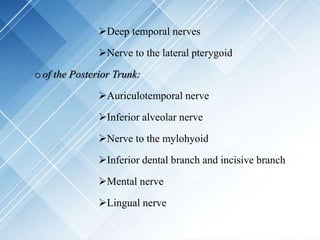 Deep temporal nerves
Nerve to the lateral pterygoid
oof the Posterior Trunk:
Auriculotemporal nerve
Inferior alveolar nerve
Nerve to the mylohyoid
Inferior dental branch and incisive branch
Mental nerve
Lingual nerve
 