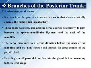 Branches of the Posterior Trunk:
Auriculotemporal Nerve:
• It arises from the posterior trunk as two roots that characteristically
encircle the middle meningeal artery.
• These roots eventually join and the nerve courses posteriorly, to pass
between the spheno-mandibular ligament and the neck of the
mandible.
• The nerve then runs in a lateral direction behind the neck of the
mandible and the TMJ capsule and through the upper portion of the
parotid gland.
• Here, it gives off parotid branches into the gland, before ascending
to the lateral scalp.
 