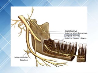 Submandibular
Ganglion
 