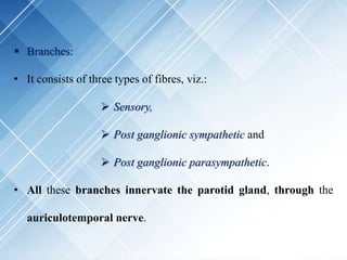  Branches:
• It consists of three types of fibres, viz.:
 Sensory,
 Post ganglionic sympathetic and
 Post ganglionic parasympathetic.
• All these branches innervate the parotid gland, through the
auriculotemporal nerve.
 