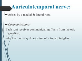 Auriculotemporal nerve:
Arises by a medial & lateral root.
Communications:
Each root receives communicating fibers from the otic
ganglion;
which are sensory & secretomotor to parotid gland.
 