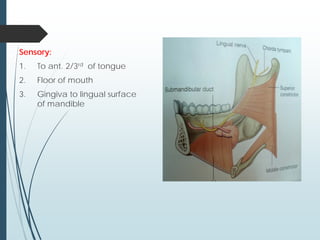 Sensory:
1. To ant. 2/3rd of tongue
2. Floor of mouth
3. Gingiva to lingual surface
of mandible
 