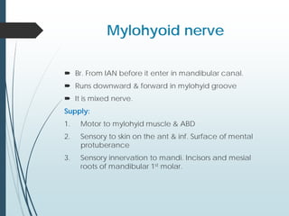 Mylohyoid nerve
 Br. From IAN before it enter in mandibular canal.
 Runs downward & forward in mylohyid groove
 It is mixed nerve.
Supply:
1. Motor to mylohyid muscle & ABD
2. Sensory to skin on the ant & inf. Surface of mental
protuberance
3. Sensory innervation to mandi. Incisors and mesial
roots of mandibular 1st molar.
 