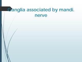 Ganglia associated by mandi.
nerve
 