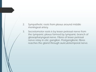 2. Sympathetic roots from plexus around middle
meningeal artery.
3. Secretomotor roots is by lesser petrosal nerve from
the tympanic plexus formed by tympanic branch of
glossopharyngeal nerve. Fibres of lesser petrosal
nerve relay in otic ganglion. Postganglionic fibres
reaches the gland through auriculotemporal nerve.
 